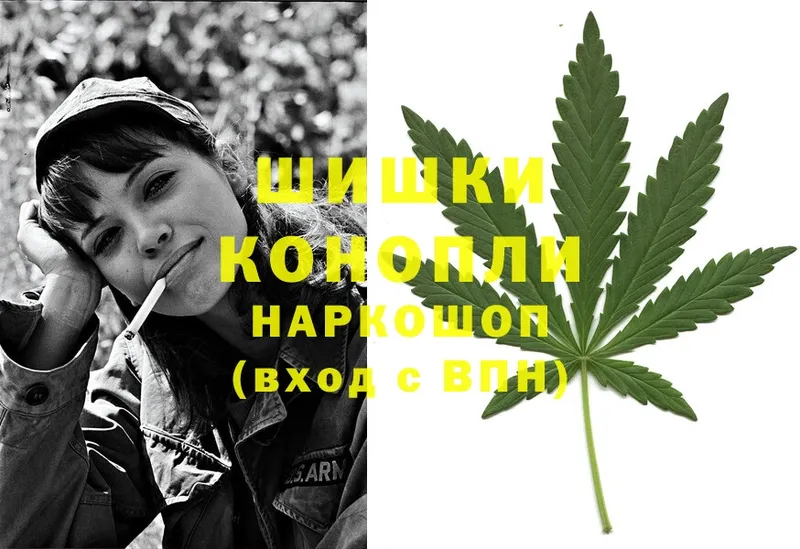 Конопля SATIVA & INDICA  сайты даркнета какой сайт  Алагир 